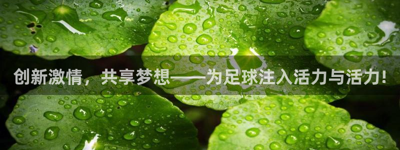 创新激情，共享梦想——为足球注入活力与活力!