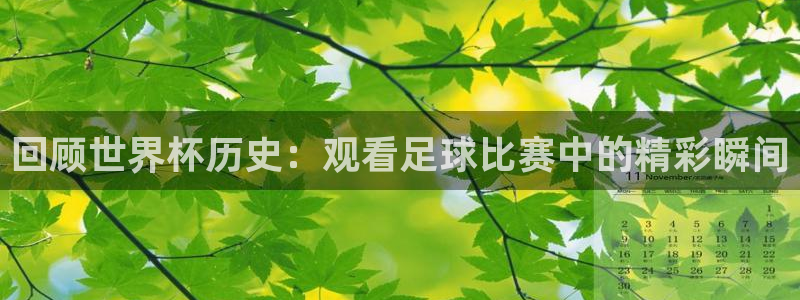  回顾世界杯历史：观看足球比赛中的精彩瞬间