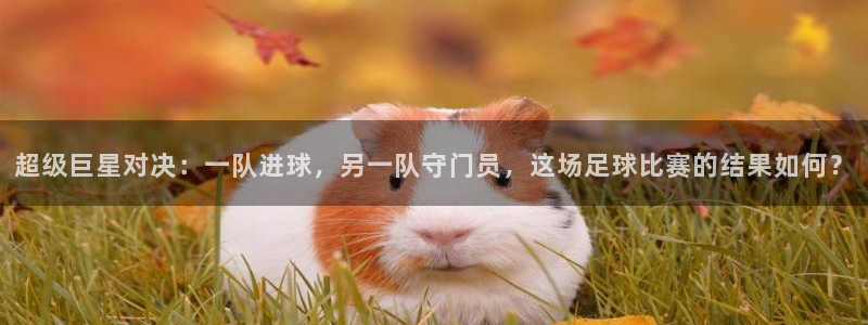 超级巨星对决：一队进球，另一队守门员，这场足球比赛的结果如何