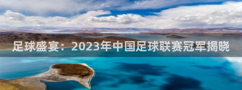  足球盛宴：2023年中国足球联赛冠军揭晓