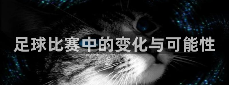 足球比赛中的变化与可能性