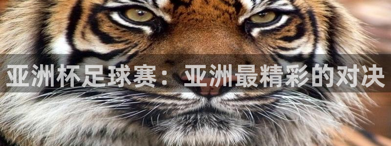  亚洲杯足球赛：亚洲最精彩的对决