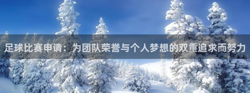 足球比赛申请：为团队荣誉与个人梦想的双重追求而努力