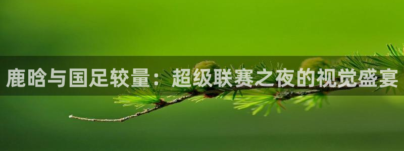  鹿晗与国足较量：超级联赛之夜的视觉盛宴