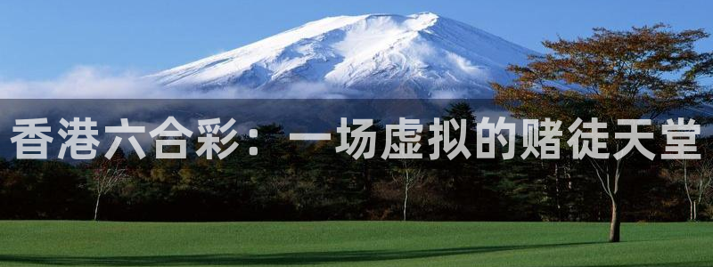 斗球直播苹果：香港六合彩：一场虚拟的赌徒天堂
