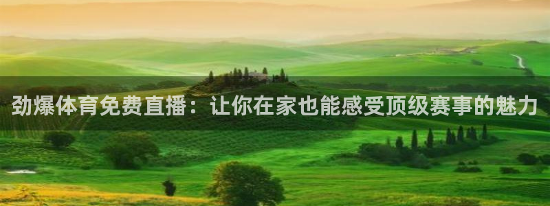 斗球直播在线观看：劲爆体育免费直播：让你在家也能感受顶级赛事的魅力