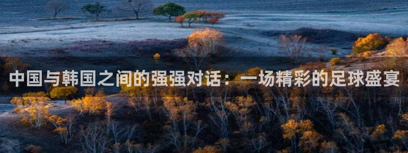 中国与韩国之间的强强对话：一场精彩的