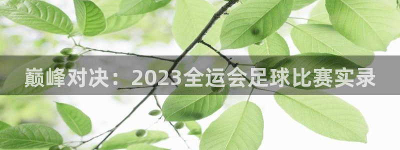 巅峰对决：2023全运会足球比赛实录