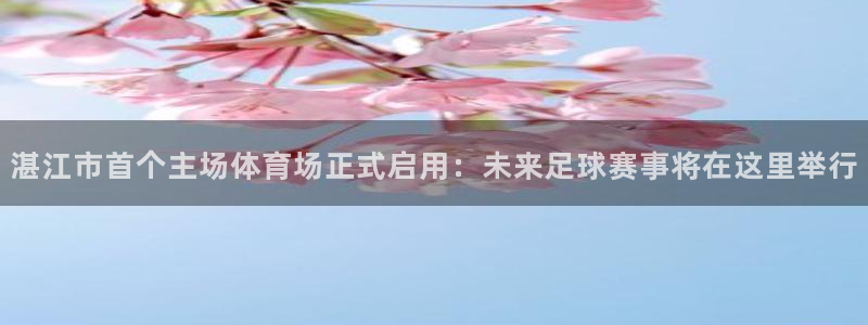  湛江市首个主场体育场正式启用：未来足球赛事将在这里举行