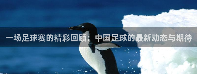 一场足球赛的精彩回顾：中国足球的最新