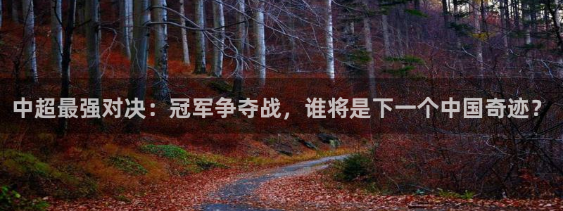 中超最强对决：冠军争夺战，谁将是下一个中国奇迹？