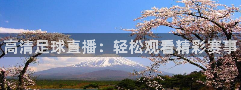 高清足球直播：轻松观看精彩赛事