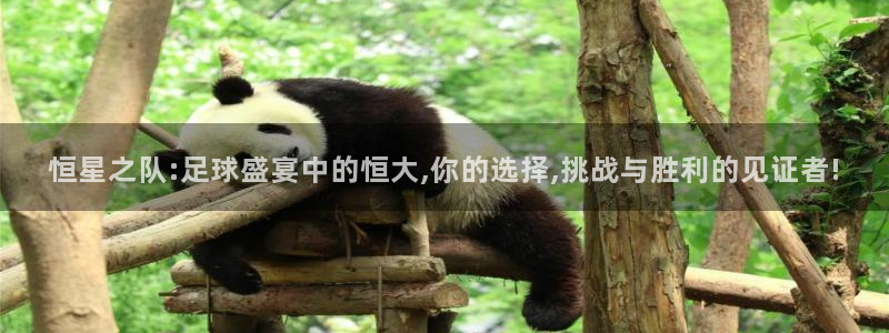 恒星之队:足球盛宴中的恒大,你的选择