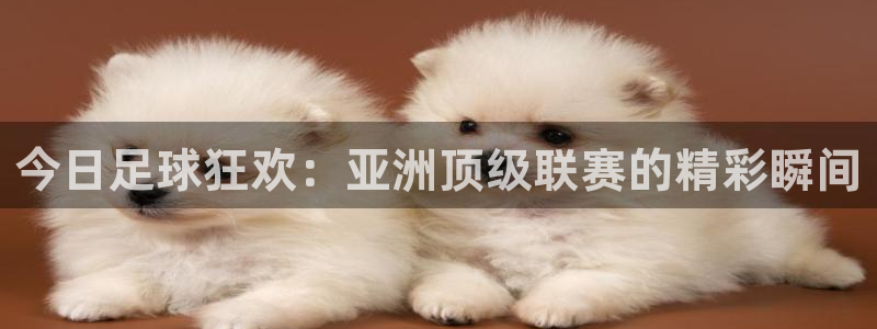今日足球狂欢：亚洲顶级联赛的精彩瞬间