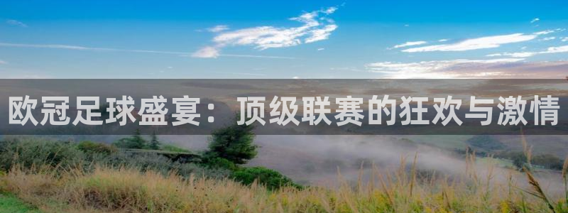  欧冠足球盛宴：顶级联赛的狂欢与激情