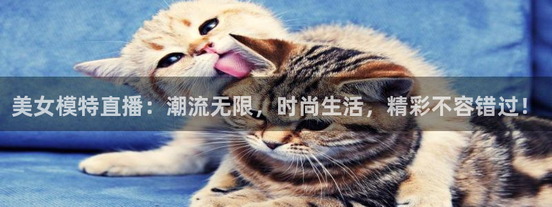 斗球体育直播官网：美女模特直播：潮流无限，时尚生活，精彩不容错过！
