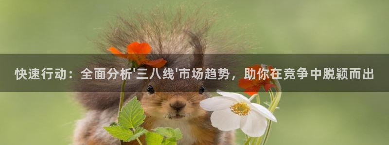 斗球直播app怎么下载：快速行动：全面分析\'三八线\'市场趋势，助你在竞争中脱颖而出