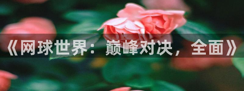 斗球dqty在线直播：《网球世界：巅峰对决，全面》