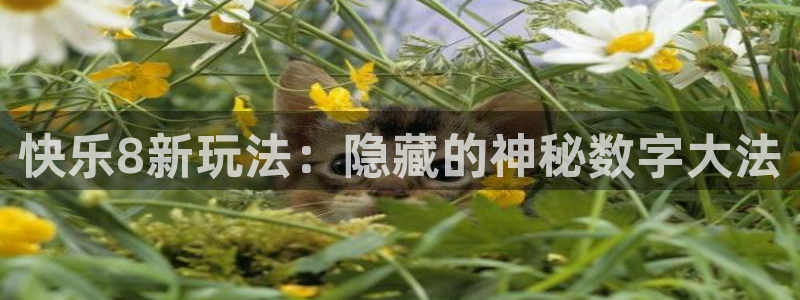 dqivip斗球直播下载：快乐8新玩法：隐藏的神秘数字大法