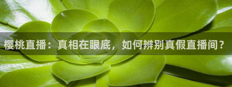 斗球直播app下载最新版：樱桃直播：真相在眼底，如何辨别真假直播间？