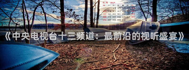nba斗球直播免费观看直播在线：《中央电视台十三频道：最前沿的视听盛宴》