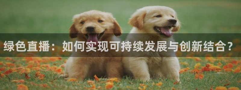 斗球在线直播：绿色直播：如何实现可持续发展与创新结合？