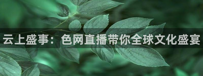 斗球直播nba免费观看下载：云上盛事：色网直播带你全球文化盛宴